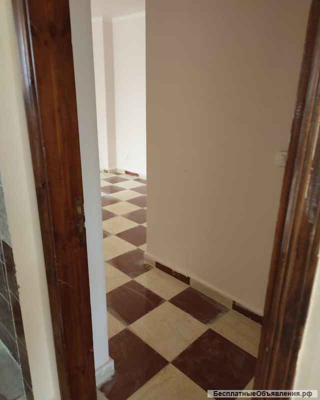 Квартиры в Хургаде (Египет)