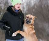 Москва и область Ищет дом весельчак и попрыгуша Сэм