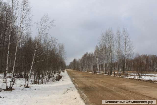 Земельный участок, 60 га, д. Шамы (Саянский район)