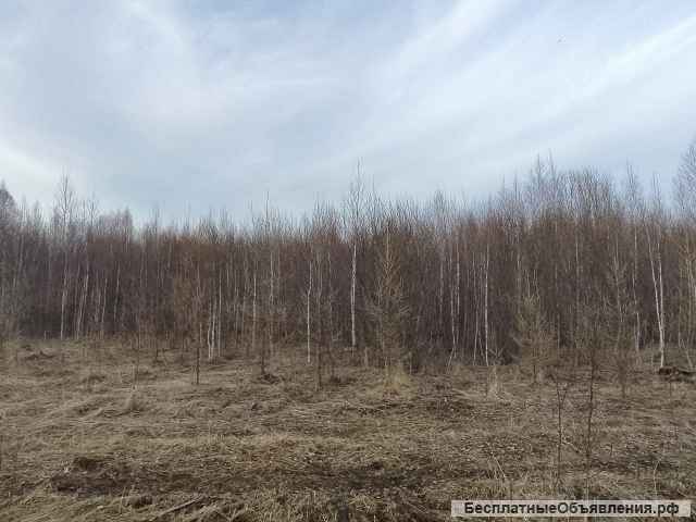 Земельный участок, 60 га, д. Шамы (Саянский район)