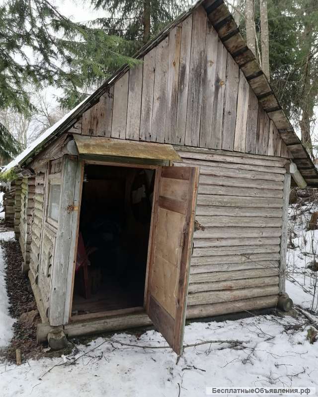 Дача рядом лес, грибы, ягоды, речка