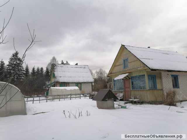 Дача рядом лес, грибы, ягоды, речка