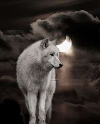 Таро. система Таур. практики по коррекции и проектированию своего будущего. избавление от негатива.