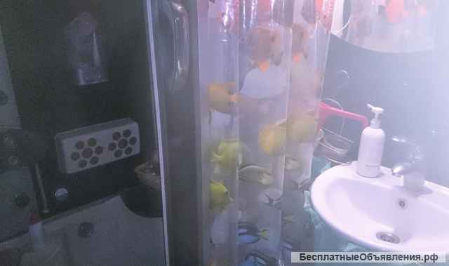 Сдаю комн 12м2 в доме с хоз. Каменка, в/уд, 1рус. б/вред. прив.-один в комн.