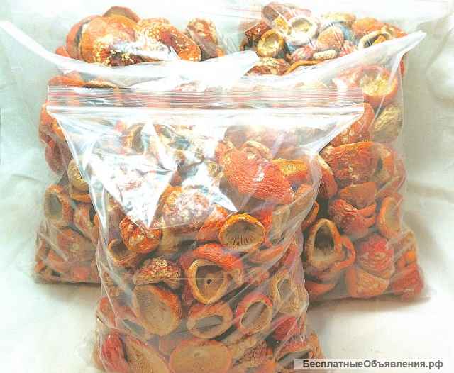 Красный мухомор