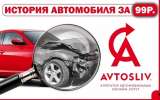 Проверка истории автомобиля на официальном сайте автоуслуг