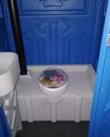 Аренда туалетной кабины