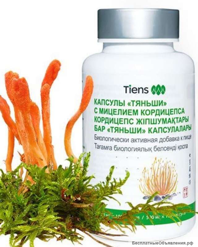 Капсулы с мицелием кордицепса