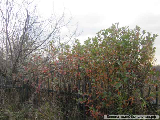 Земельный участок п.Балки СНТ КГСХА-7