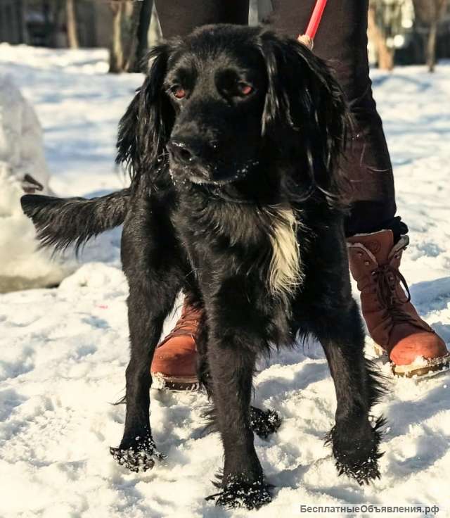 Аксель ищет дом