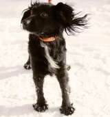 Аксель ищет дом