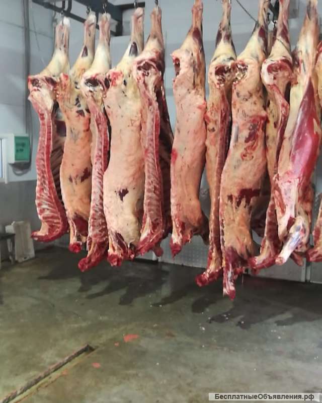 Говядина полутуши 1 и 2 категории