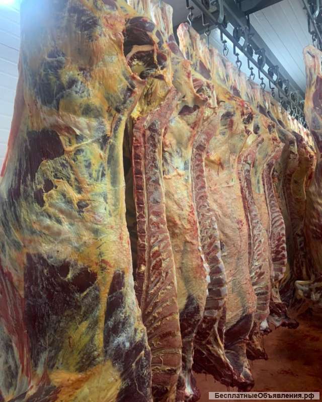 Говядина полутуши 1 и 2 категории