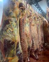 Говядина полутуши 1 и 2 категории