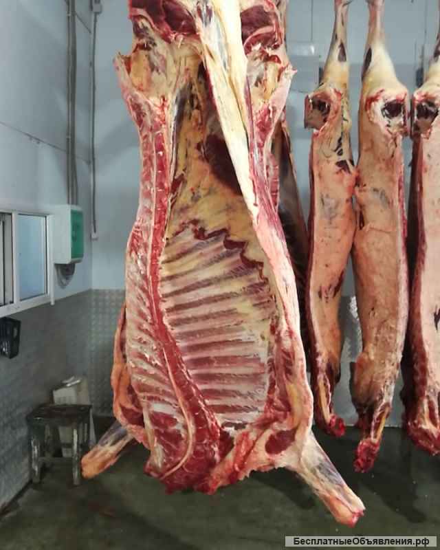 Говядина полутуши 1 и 2 категории