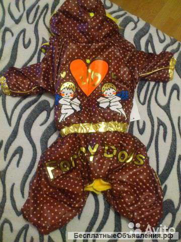 Теплый и красивый комбинезон для собаки