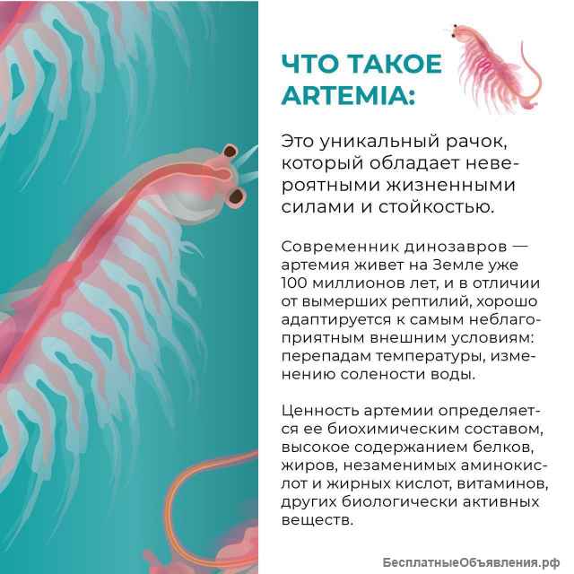Натуральные витамины