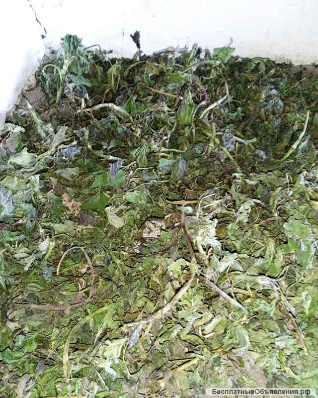 Сушёные травы