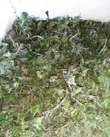 Сушёные травы