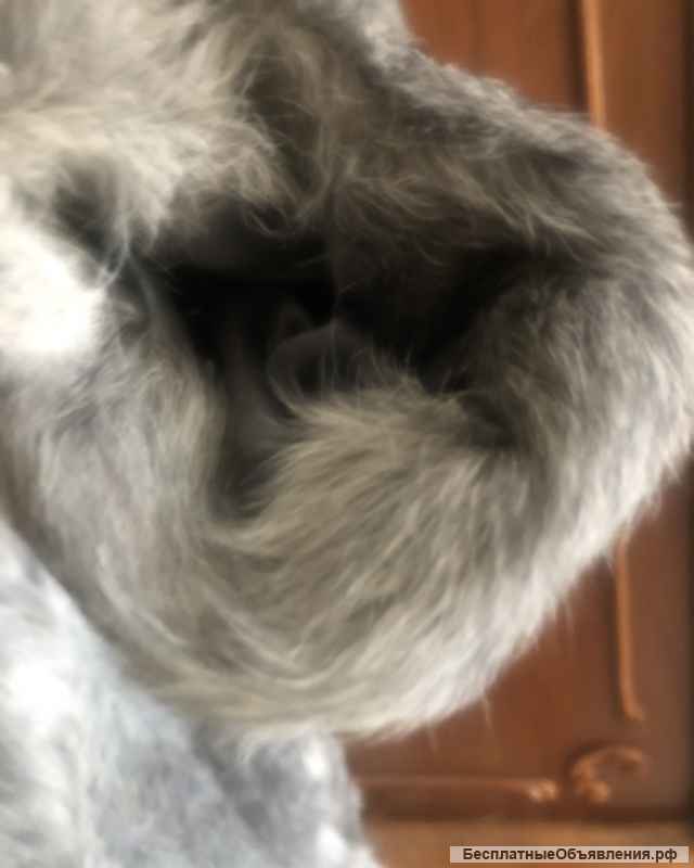 Шуба из козла 52р