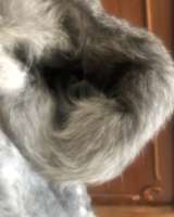 Шуба из козла 52р