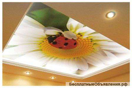 Натяжные потолки