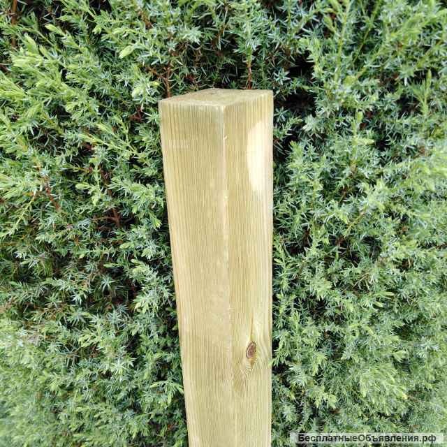 Террасная доска из натурального дерева