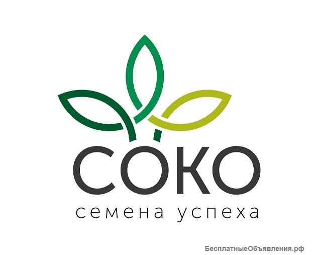 Семена сои селекции ООО Компания "СОКО" - сорт СК АЛЕКСА