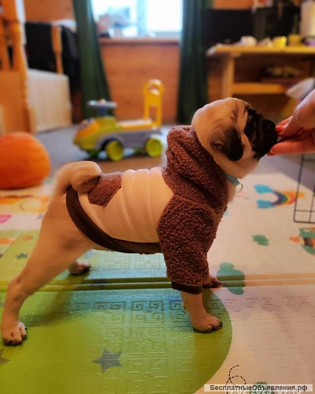 Изюмительная-девчушка