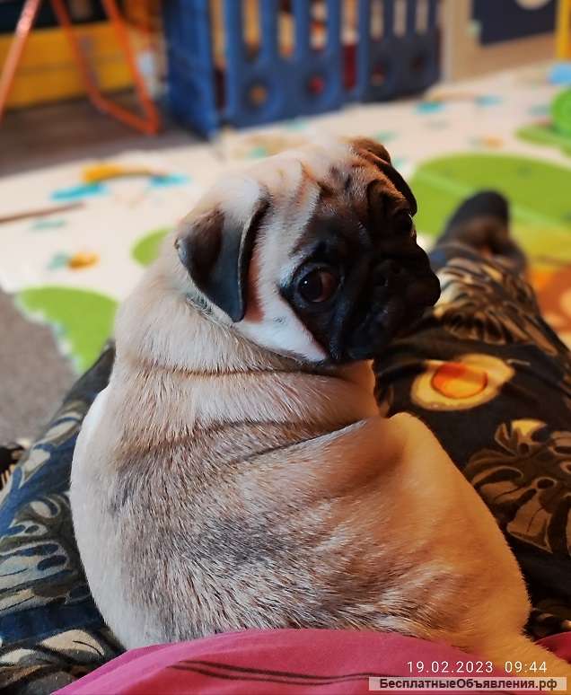 Изюмительная-девчушка