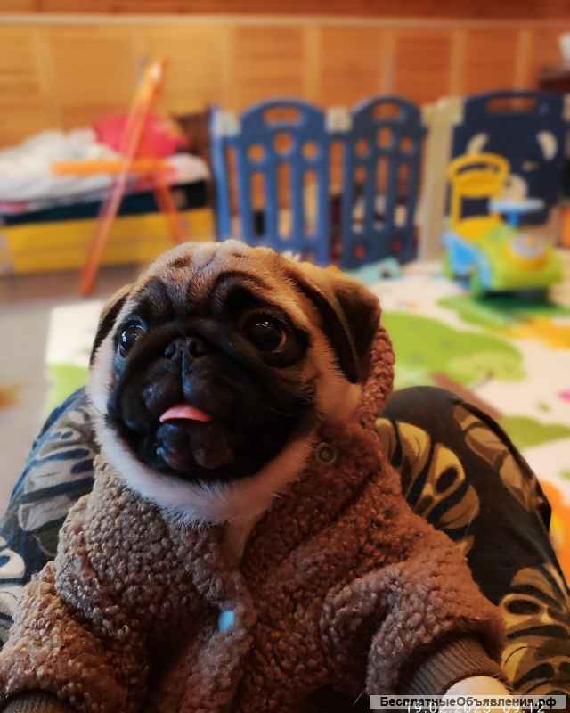 Изюмительная-девчушка