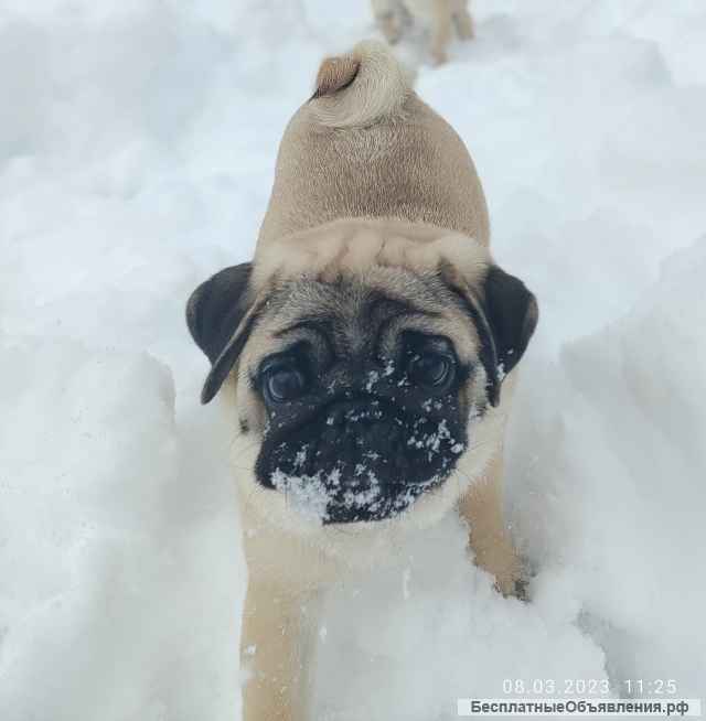 Будущий ЧЕМПИОН