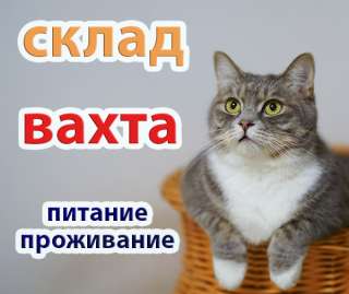 Упаковщик на склад в Москве и МО, вахта с проживанием и питанием, вахта 15/30/45/60 на выбор