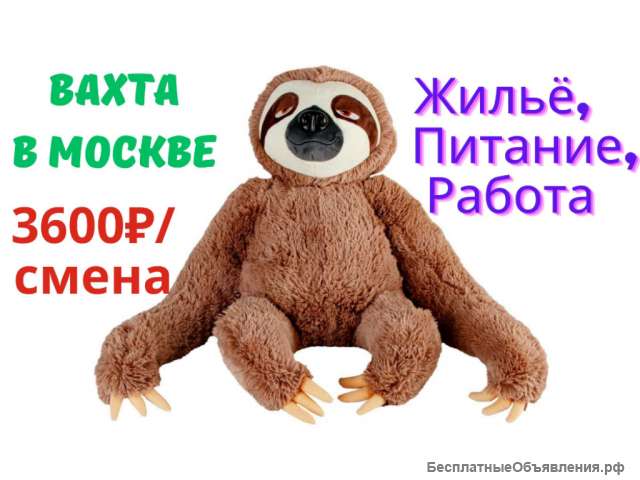 Упаковщик (ца) игрушек вахтой в Москве с бесплатным проживанием и питанием без опыта работы