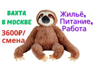 Упаковщик (ца) игрушек вахтой в Москве с бесплатным проживанием и питанием без опыта работы