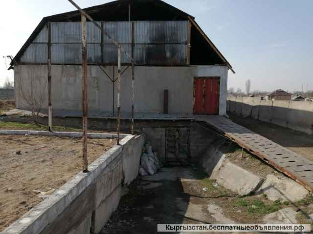 Грибной бизнес (вешенка). Высокая рентабельность