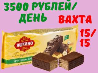 Упаковщик вафель Вахта Москва 15/15 с бесплатным питанием и проживанием без опыта работы