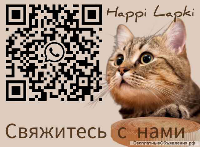 Стильная когтеточка Happy Lapki