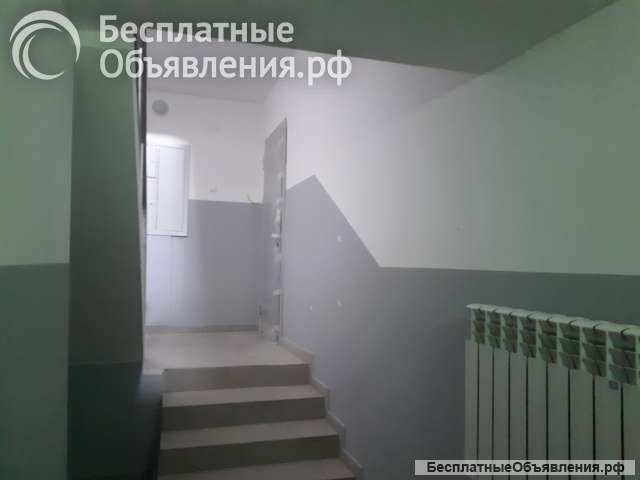 3х комнатную квартиру