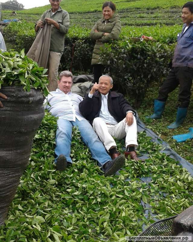 Услуги переводчиков WatsApp + 84902165747