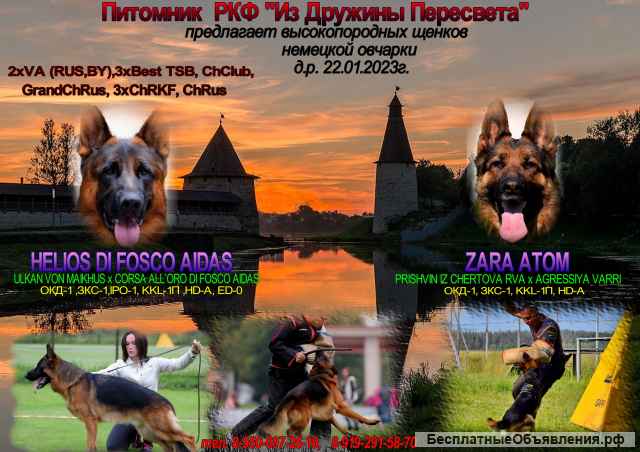 Высокопородные щенки немецкой овчарки