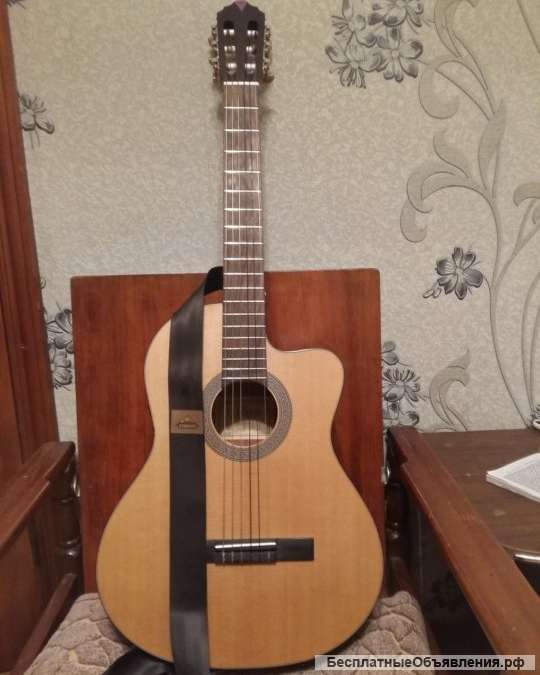 Электро Parkwood PC110 классика с подключением