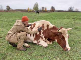 Ищем разнорабочего на ферму
