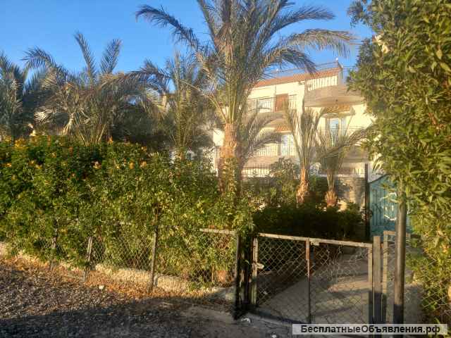 Роскошная вилла в Хургаде (Египет)