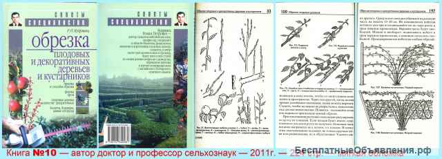 Сад, Огород, Ягодники, Обрезка. Хорошие книги