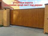 Въездные ворота (распашные, откатные, складные)
