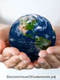 Новый год и Рождество в Будапеште