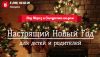 Дед Мороз и Снегурочка на дом Профактёры