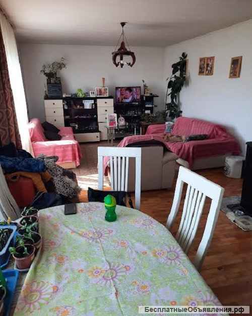 Дуплекс, Крагуевац