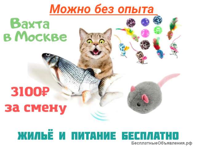 Упаковщик вахта в Москве на склад товаров для животных без опыта с проживанием и питанием